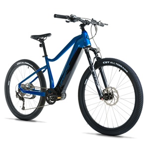 Leader Fox Swan 29” 2025